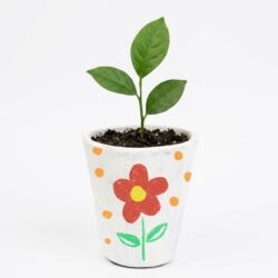 Pot painting